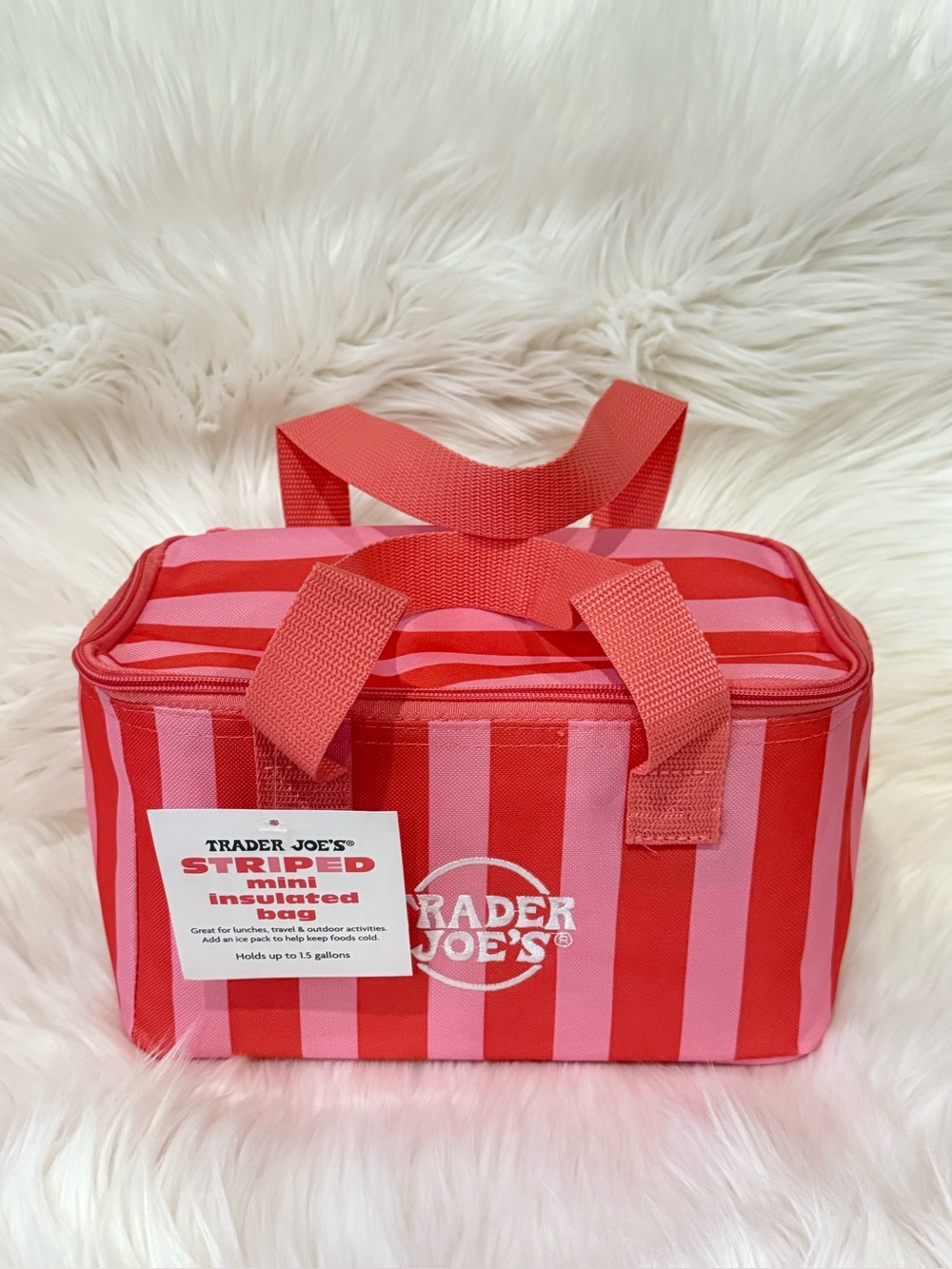Trader Joe's Mini Insulated Lunch Bag pastel pink striped